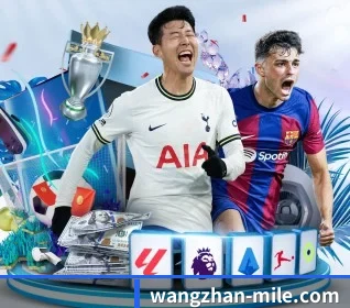 wangzhan-mile.com APP